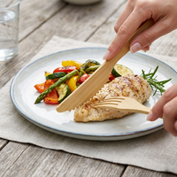 Couteaux en bambou écologiques pour restaurant et cuisine domestique, logo et taille personnalisés, couteau jetable