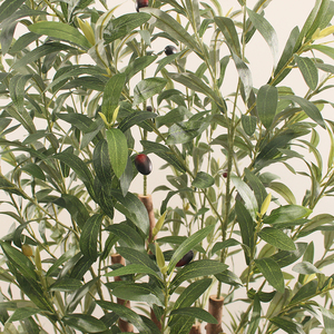 <span class=keywords><strong>Piante</strong></span> Artificiali da Arredo Nuova Moda Grandi Saldi Ultime Novità Grande Ulivo Artificiale per Arredamento Ristorante - Product Image 5