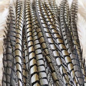 Plumes de faisan de 100 cm en gros, teintes directement, naturelles et brutes, pour décorations de carnaval et de fête - Product Image 1