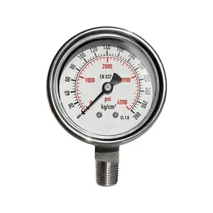 Stable Performance Bourdone Tube Ss Value Pressure Gauge Dial
