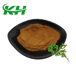 Suministros de Fábrica: Extracto de <span class=keywords><strong>Portulaca</strong></span> Oleracea en Polvo de Grado Alimenticio 10:1  30:1 - Product Image 2