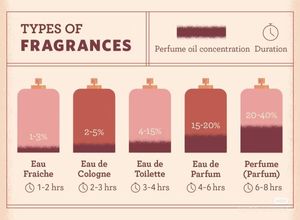 Spray Corporel <span class=keywords><strong>Parfum</strong></span>é Boisé Longue Durée pour Homme Le Male Evidence avec Reçu et Étiquette – Idéal pour les Soirées et les Rendez-vous - Product Image 6