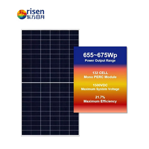 Panel Solar Monocristalino Bifacial Risen RSM132-8-655M-675M de 132 Celdas, Doble Cristal, 655W 660W 665W 670W 675W, 21.7% de Eficiencia - Product Image 1