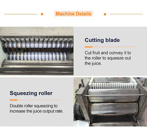 เครื่องสกัดน้ำผลไม้แบบกดเย็นเครื่องสกัดผักผลไม้อุตสาหกรรมฝรั่งแตงโมสับปะรด - Product Image 4