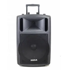 Hot Selling Draagbare Trolley Outdoor Reclame Actieve Batterij Speaker Met Trolley En Microfoon Plastic Kast