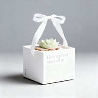 Boîtes de poignée de plantes rigides blanches Offre Spéciale Boîte de papier d'affaires et de shopping biodégradable Boîte de plantes succulentes écologique à l'encre de soja