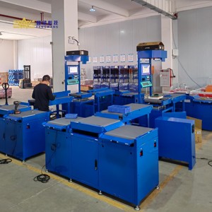 Automatische Paketprüfwaage Statisches DWS-Maschinensystem mit 10 kW Motorleistung Barcode-Förderband - Product Image 5