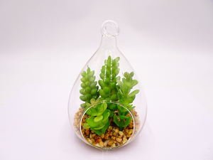 Fiore Succulento Artificiale Moderno <span class=keywords><strong>in</strong></span> <span class=keywords><strong>Vaso</strong></span> di Vetro, Piccola Pianta Succulenta Artificiale - Product Image 3