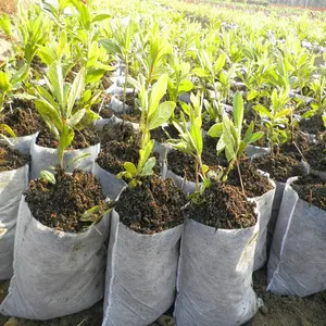 植物苗床バッグ不織布植物苗分解性シードスターターバッグ生地苗ポット高生存のための植物ポーチ