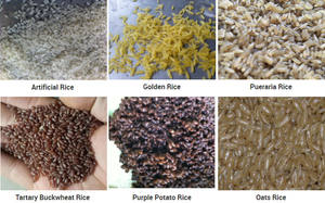 Automatic Fortified Instant Rice Production <b>Line</b> Electric 250kg/h Capacity ISO 9001 Certified Efficient Extrusion Machine - Product Image 5