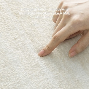 Minimalist Polyester Soft Light <b>Cat</b>-Like Texture Living Room Area Rug Set Thickened Bedside Blanket Long Strip <b>Sofa</b> Coffee Table - Product Image 3