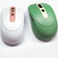 Cetakan Mouse Khusus, Ultra-presisi dan dengan Kontrol Ujung Jari - Dirancang Khusus untuk Ahli Mikro-kontrol