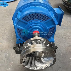 Générateur hydroélectrique miniature de 200 kW fabriqué en Chine, facile à utiliser et à longue durée de vie, une solution d'énergie renouvelable ForsterHL - Product Image 1