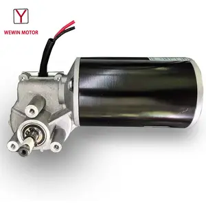 WEWIN Industrial Supplier Torque 20nm 12V Carbon Brush Electric Moteur Dc Motor 24V 200W