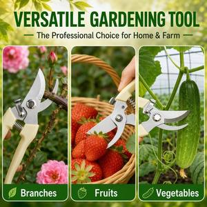 Ciseaux de jardinage professionnels Sharp à coupe coupante pour Bonsaï et fleurs, lames en acier 20CR13, poignées en plastique, tête incurvée - Livraison rapide - Product Image 6