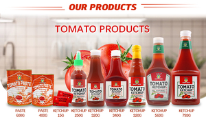 Jolion tùy chỉnh 5kg trống bánh pizza nước sốt cà chua số lượng lớn bóp chai Halal BRC Hữu Cơ cà chua nước sốt cà chua cho gà tây - Product Image 2