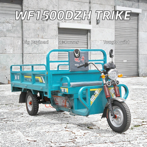 Triciclo Elettrico a Tre Porte di Alta Qualità 1500W 2.2M con Carrozzeria Aperta per Adulti, Uso Cargo, Carico Utile 400kg+, Autonomia 70-90km - Product Image 2