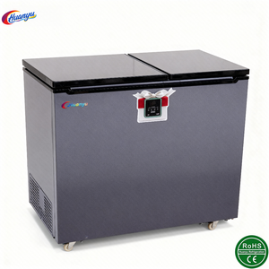 Congelatore a Pozzetto di Grande Capacità con Raffreddamento Diretto per Uso Commerciale e Supermercati - Product Image 2