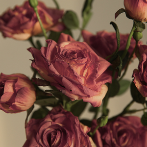 Rose artificielle en soie à 3 tiges, bord brûlé, de haute qualité, violet-orange, pour la décoration de table à la maison - Product Image 5