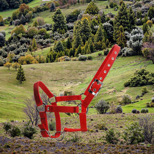 Cabestro Ecuestre LUBY de Nailon Ajustable de 25 mm, para Caballos, para Exteriores, Todas las Temporadas, Negro, Azul, Rojo - Product Image 3