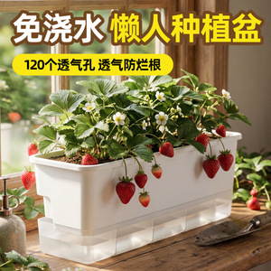 Rectangular Flower Pot Plastic White Gray Self Watering Indoor Outdoor Balcony Plant Container Minimalist Design HF1142 - Product Image 3