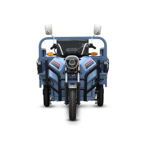 Tricycle électrique bon marché de prix de trois roues d'adulte de mobilité de puissance de charge pour le marché des États-Unis