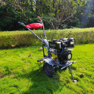 Máquina Rotativa <span class=keywords><strong>de</strong></span> Labranza <span class=keywords><strong>de</strong></span> Suelo <span class=keywords><strong>de</strong></span> Alta Potencia a Gasolina para Uso Agrícola y Doméstico, la Más Vendida - Product Image 2