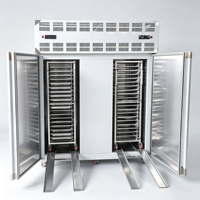 Industriële Tray Blast Chiller Vrieskast Dubbele Deur Aangepaste Spanning -60 ℃   Ultrasnelle vriesinstallatie voor vlees slachthuizen