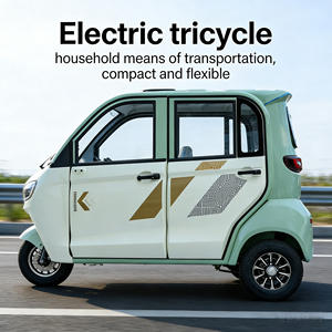 Triciclo Elettrico Completamente Chiuso per Adulti, Uso Domestico con Seggiolino per Bambini Come Mezzo di Trasporto per Adulti e Bambini - Product Image 2