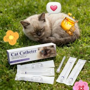 Kedi Kateteri Veteriner Üriner Kateter/Toptan Yumuşak Evcil Hayvan İdrar Kateteri/Stiletli Yüksek Kalite - Product Image 4
