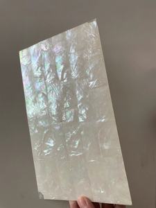 Các Nhà Sản Xuất Bán Hàng Trực Tiếp Trắng Mother-Of-Pearl Shell Slice bào ngư Slice Tạo Tác - Product Image 4