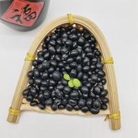 Soja noir cultivé naturellement noyau vert biologique certifié haricot noir haricot noir fournisseur