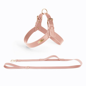 Kedatangan Stok Baru  Tersedia <span class=keywords><strong>Harness</strong></span> Dada Anjing Kulit PU Tahan Air Set Tali Kekang untuk Anjing Kecil dan Sedang <span class=keywords><strong>Harness</strong></span> Anjing - Product Image 3