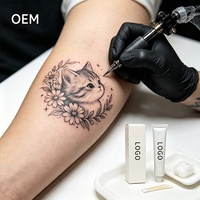 Fórmula Equilibrada de Alta Calidad para Tatuajes, Marca Privada Personalizada para Estudios de Tatuajes Comerciales y Cadenas de Belleza
