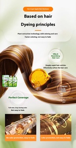 Crème Colorante Capillaire Semi-Permanente aux Herbes Pomme 25ml en Gros, Faible Teneur en Ammoniaque, Shampoing pour Hommes et Femmes, Sachet Noir - Product Image 5