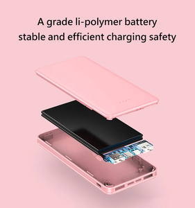 Prix bon marché double sortie usb 10000mAh powerbank universel <span class=keywords><strong>chargeur</strong></span> de <span class=keywords><strong>batterie</strong></span> extérieur portable 10w banques d'alimentation 10000mah - Product Image 5