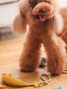 Jouets <span class=keywords><strong>pour</strong></span> <span class=keywords><strong>chiens</strong></span> Jouets à mâcher en cuir de vachette résistants aux morsures <span class=keywords><strong>pour</strong></span> chiots - Product Image 2