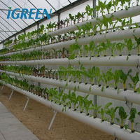 Serre hydroponique verticale à simple portée IGreen, film PE, agriculture à faible coût, tunnel