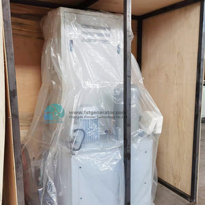 Mini Centrale Hydroélectrique Kaplan pour Petites Rivières, Système de Générateur Triphasé AC 400V à Contrôle Automatique ZDK283-LMY-90 - Product Image 6