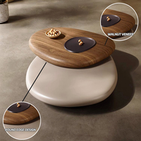 Table basse design en forme de galet, simple, créative, ovale, artistique, durable pour salon, petit appartement - JKY-135