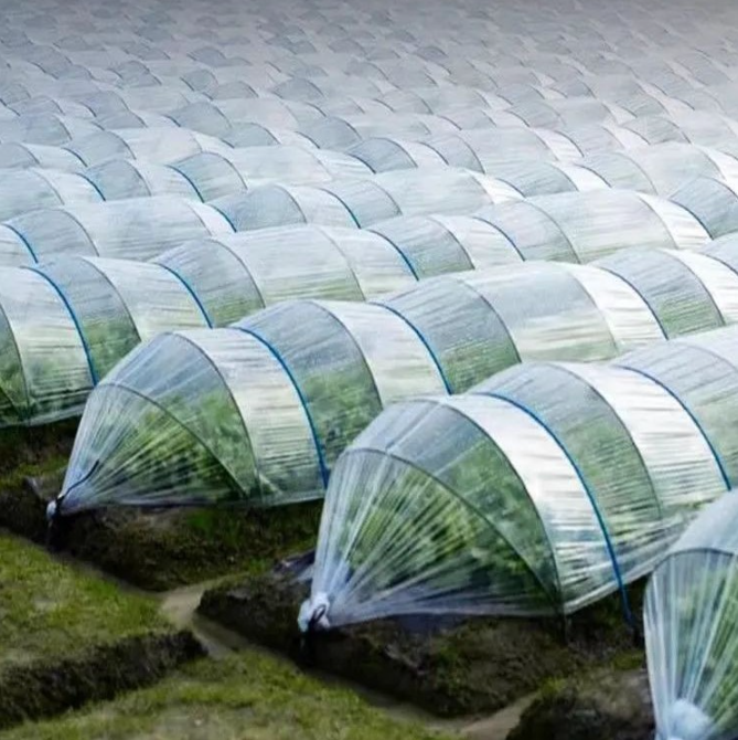 Big Size Pe Material Polytunnel Uv