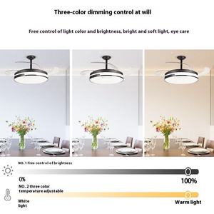 Moderne 42-Inch Abs Plafondventilator Met Led Licht Afstandsbediening 220V Voor Woonkamer - Product Image 4