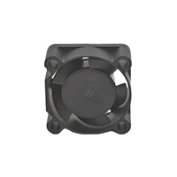 WELLSUNFAN FD02510 25x25x10mm 1 pouce DC ventilateur de refroidissement boîtier d'ordinateur CPU NVMe SSD ordinateur portable bureau DDR5 RAM-5V roulement à billes 20.9dB(A)