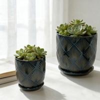 Nouveaux pots de fleurs en terre cuite à glaçure réactive, vente en gros d'usine, pour jardin, bonsaï et plantes succulentes