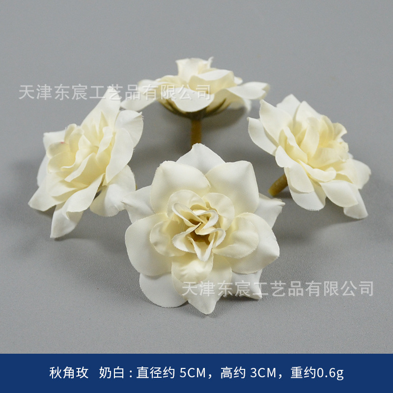 Autumn rose blossoms, milky white