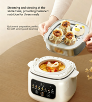 Cuisinière à vapeur électrique portable entièrement automatique et programmable, double couche en acier inoxydable, mini-cuiseur lent domestique en plastique