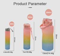 Lot de 3 Bouteilles d'Eau en Plastique Dégradé Portable Givré 2L, 2000ml, 900ml, 300ml – Vente en Gros