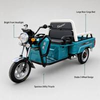 Go-Kart Eléctrico Todoterreno para Adultos, 48V 20Ah, Transmisión por Eje, Motor BLDC de 750W, Velocidad de 70km/h, Freno Hidráulico, Ruedas de 80cm para Uso en Exteriores