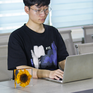 Tùy chỉnh khối Nhựa Acrylic thủ công rõ ràng trọng lượng giấy với hoa hướng dương hoa khô trong suốt chặn giấy - Product Image 4