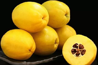 Extrait concentré de papaye naturelle du Yunnan – Matière première stable en matière de saveur, certifiée HACCP pour boissons, glaces et aliments